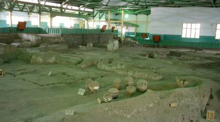 発掘された遺構は大きな屋根が架けられて展示されています