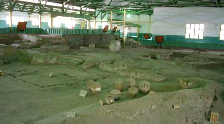 発掘された遺構は大きな屋根が架けられて展示されています 発掘された遺構は大きな屋根が架けられて展示されています