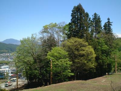 八ヶ岳、茅野市街をバックにした本殿の森 八ヶ岳、茅野市街をバックにした本殿の森