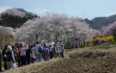 花見山に向かう人の列