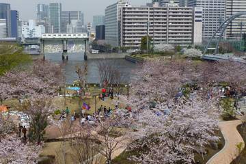 屋上庭園から東品川海上公園と天王洲アイル方面の眺め