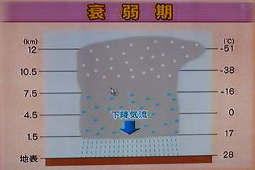 衰弱期（30分）