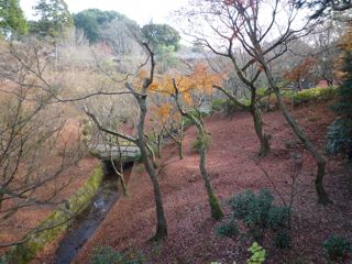 名残の紅葉が楽しめた東福寺通天橋付近