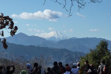 高尾山頂から見た初春の富士山
