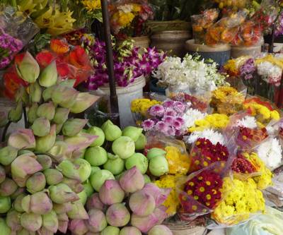 ボンケンコン市場の花屋さん