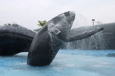 海洋生物館の鯨の噴水：台湾