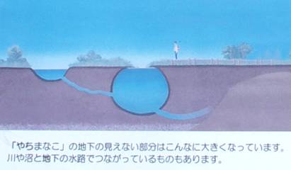 湿原の落とし穴:やちまなこ 湿原の落とし穴:やちまなこ