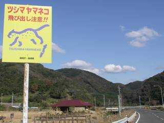 神社近くにあった「ツシマヤマネコ注意！」の道路標識