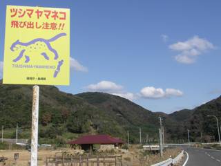 神社近くにあった「ツシマヤマネコ注意!」の道路標識 神社近くにあった「ツシマヤマネコ注意!」の道路標識
