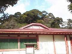 地下遺構を覆って保存してある展示館 地下遺構を覆って保存してある展示館