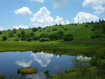 夏雲湧く八島が原湿原