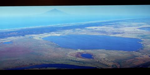 電照ディスプレイ「サロベツ原野」