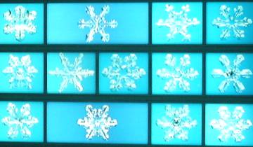雪の結晶 雪の結晶