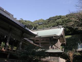 豊玉媛命を主神として祭る、木坂海神神社