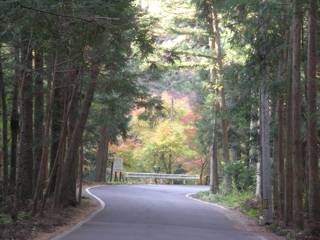 「紅葉街道」