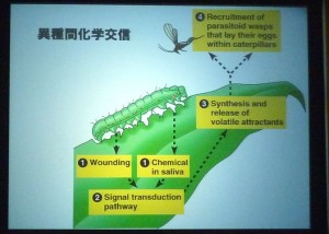 異種間化学交信の解説図