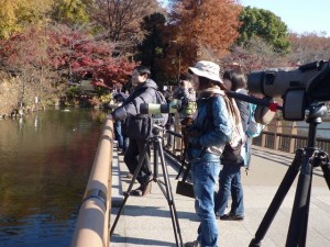 バードウォッチャーで賑わう井の頭公園