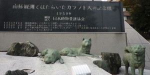 南極観測ではたらいたカラフト犬の記念像
