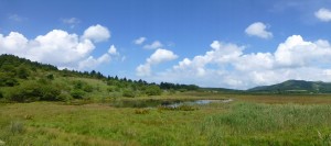 八島が原湿原2012年初秋