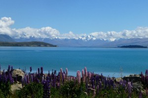 11Tekapo1200x800 レイク・テカポ