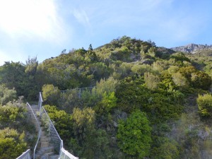 右上に見える山の麓までほぼ直登