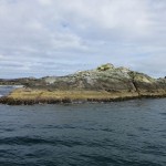 アザラシの島