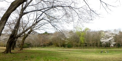 野川公園