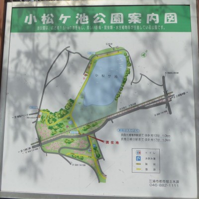 小松ヶ池公園案内図