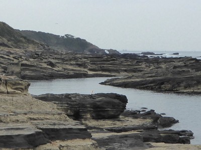 馬ノ背に向かう海岸線