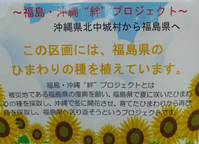 「福島・沖縄絆プロジェクト」とは