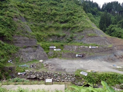 天然記念物に指定されてしまった発掘現場