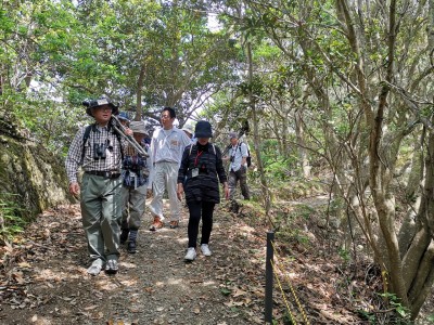 「マテバシイのトンネル」付近を通過中